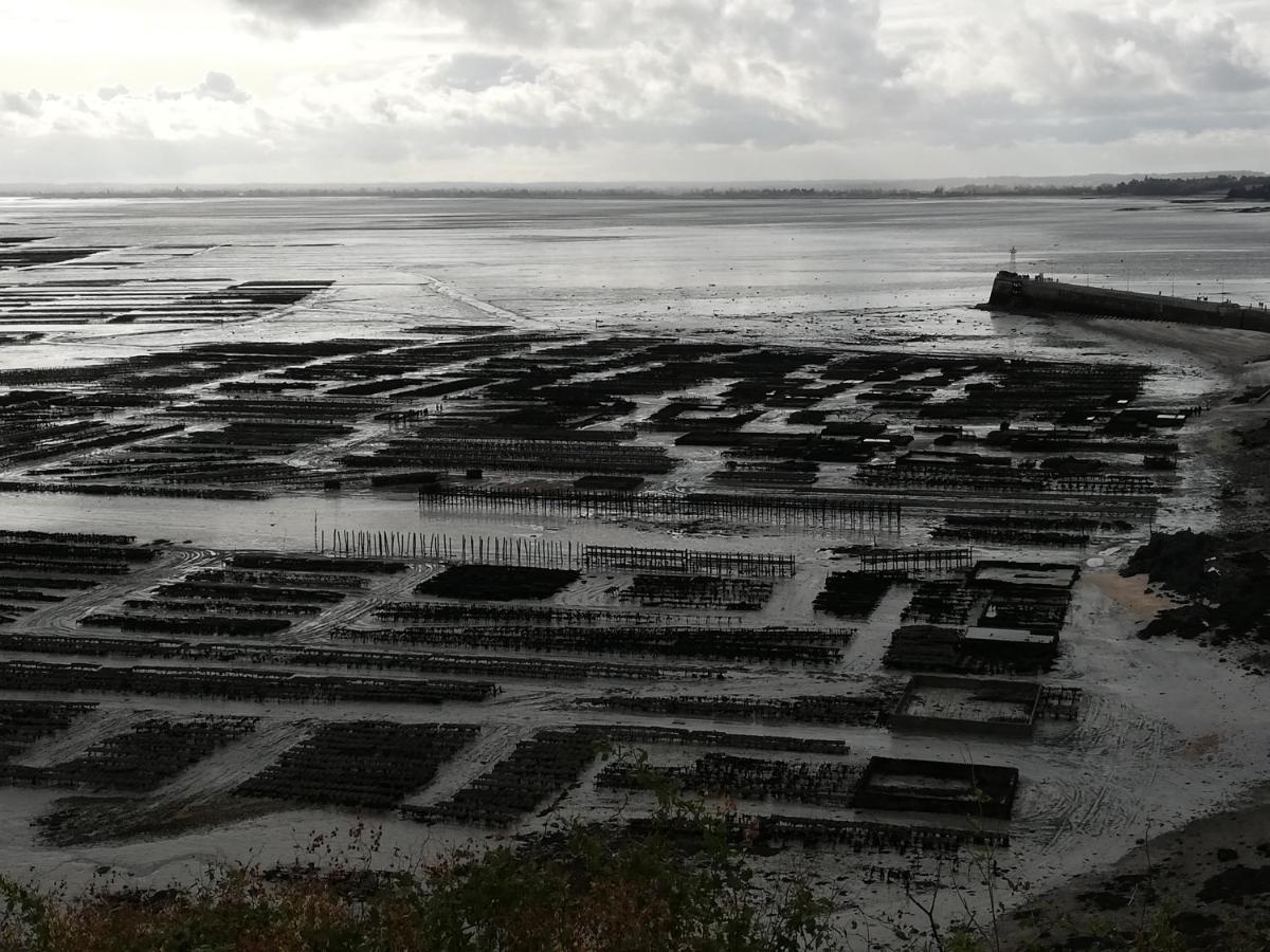 Chambres D'Hotes Les Fleurettes En Baie Du Mont Saint Michel Exteriör bild